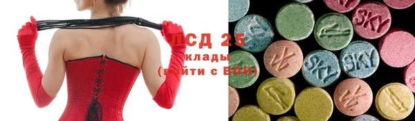 дмт Дмитриев