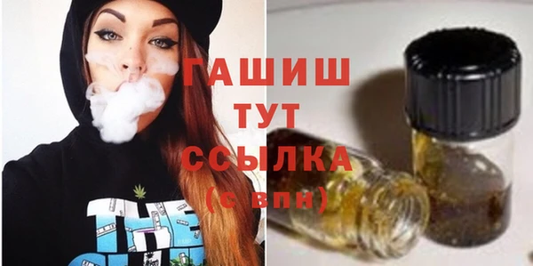 дмт Дмитриев