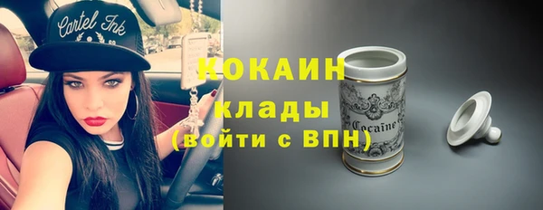 ПСИЛОЦИБИНОВЫЕ ГРИБЫ Горнозаводск