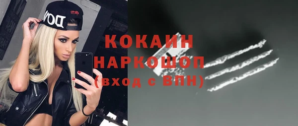 дмт Дмитриев