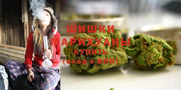ПСИЛОЦИБИНОВЫЕ ГРИБЫ Горнозаводск