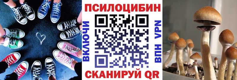 даркнет состав  Воронеж  Псилоцибиновые грибы Cubensis 